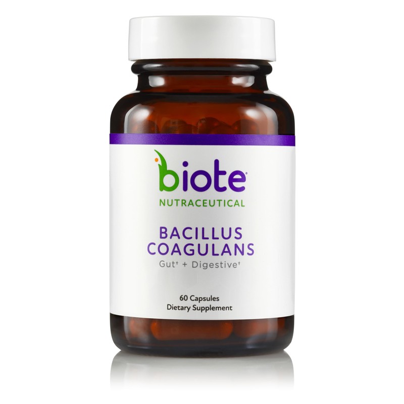 Bacillus Coagulans de BioTE Medical