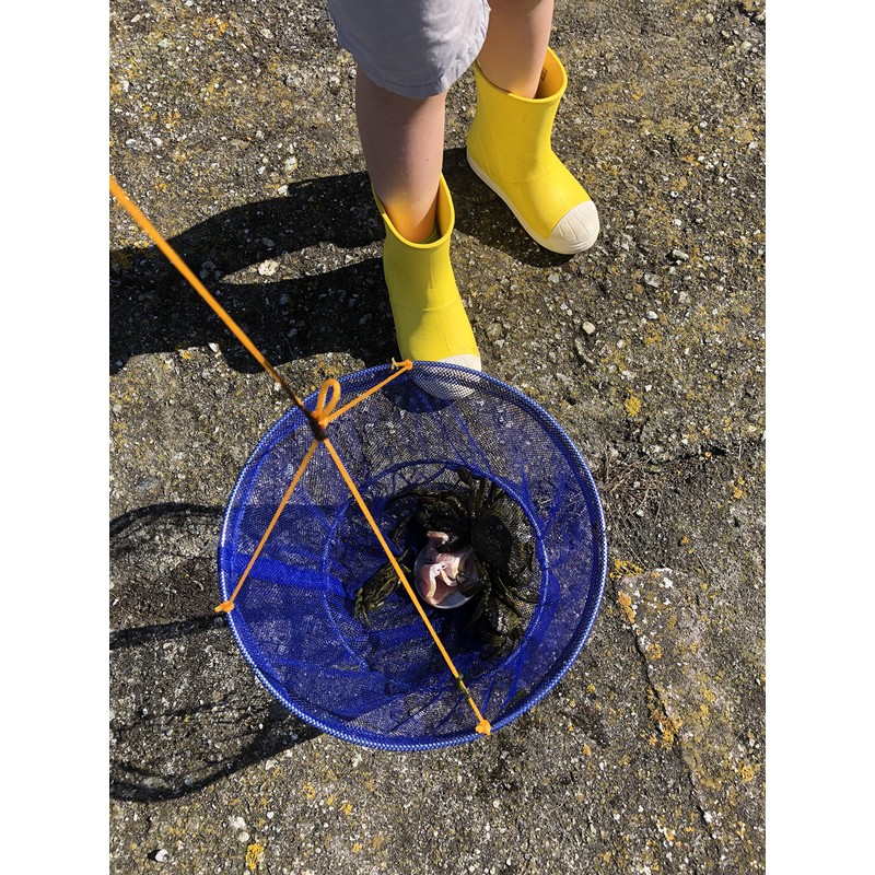Children's Crab Fishing Drop Net, 10m line, Blue or Pink