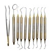 Dental Hygienists Instruments Tool kit 10 PC's with Sterilization Cassette