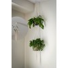PlusRoc 20 Pack Ceiling Hooks for Hanging Plants Outdoor String