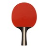 REGAIL Ping Pong Paddle Set Portable Table Tennis Set With