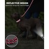 Joytale Rope Dog Leash 5/6 FT with Convenient Poop Bag