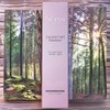 Heros Hair Elasticity Hair Strengthening Hair Essence Lucent Curl Essence 1ea 150ml / 헤로스 모발탄력 모발강화 헤어에센스 루센트 컬 에센스 1개 150ml
