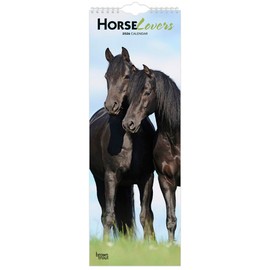 Horse Lovers | 2026 5.7 x 16.5 Inch (Hanging) Monthly Slimline Wall Calendar | BrownTrout | Animals Equestrian