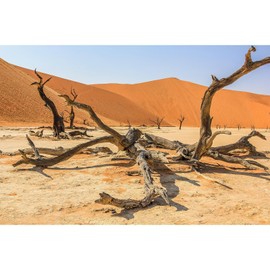 ZatiasMiller Sun and Desert Terrarium Background Blue Orange Sand Reptile Habitat Background Amazing Dead Tree Aquarium Decor Background Durable Polyester Vinyl Background 48x18in