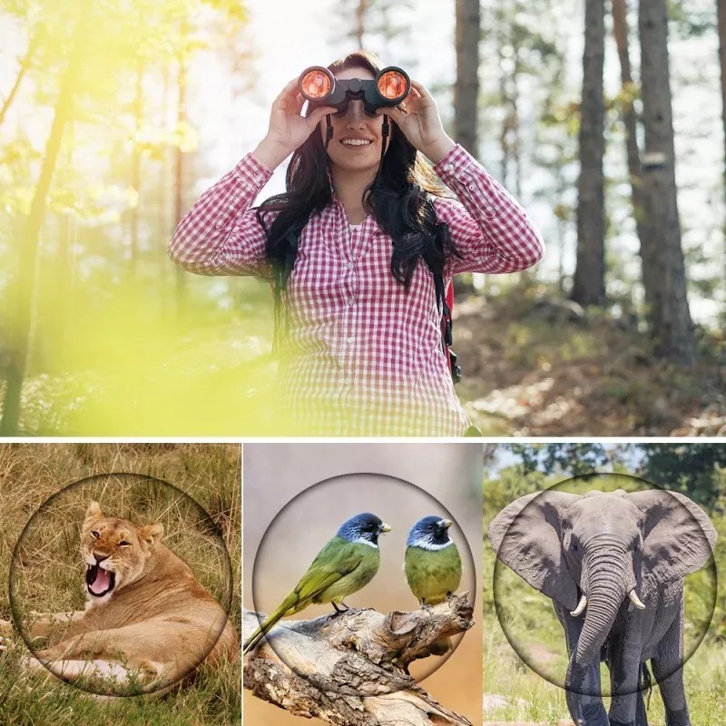 Zlianda Binoculares Largo Alcance 8x50 Tipo 80x80 Ligeros Y Nitidos