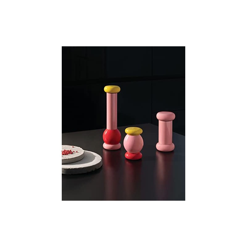 Alessi Totem Domestici ES18 2 - Design Salt, Pepper and