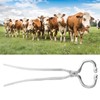 Long Handle Cattle Nasal Forceps Clip Nose Pliers Livestock Cow