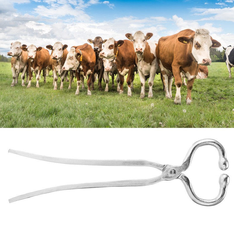 Long Handle Cattle Nasal Forceps Clip Nose Pliers Livestock Cow
