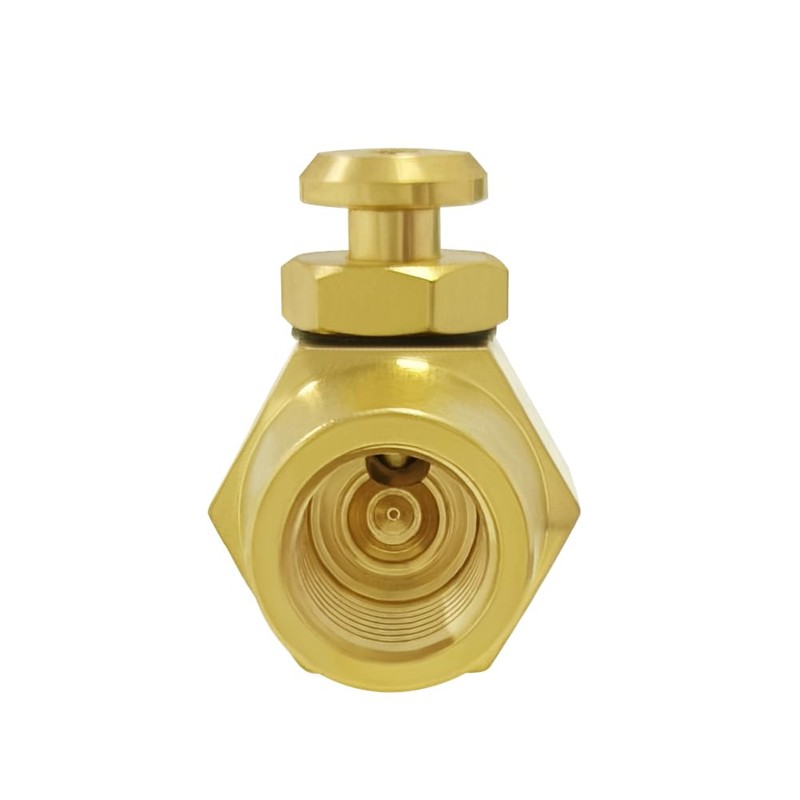 BesNPT Brass 1/4" NPT Female x 1/4" NPT Female Push