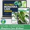 Premium Monstera Potting Soil | Quick Draining, Nutrient Rich Living