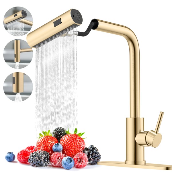 Brushed Gold Single Hole Kitchen Sink Faucets with Pull Down