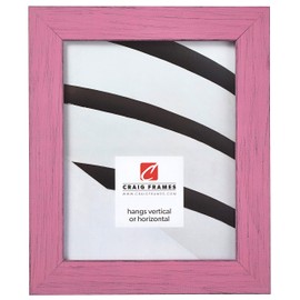 Craig Frames Jasper Picture Frame, 20 x 27 Inch, Country Petticoat Pink