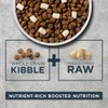 Instinct Raw Boost Whole Grain Dry Dog Food, Natural Kibble