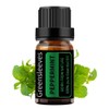 GREENSLEEVES Peppermint Essential Oil 100% Pure Organic Peppermint Aromatherapy Oils