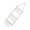 3 Tiered Wall Hanging Plant Terrarium with 12 Test Tubes