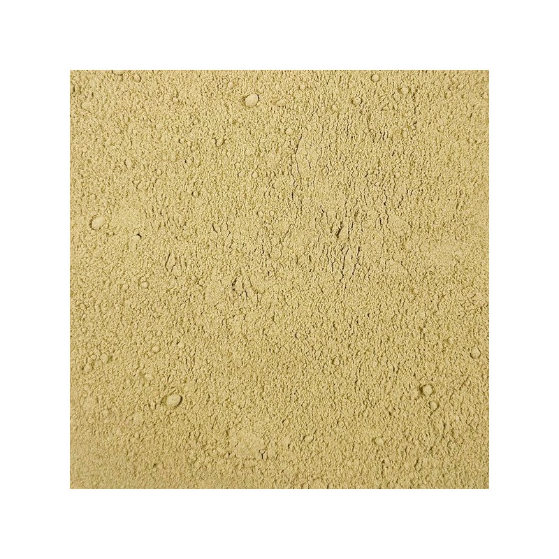 Oherb 수입 여주분말 여주가루 500g Imported Bitter Melon Powder 500g