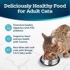 Blue Buffalo Tastefuls Sensitive Stomach Natural Adult Dry Cat Food