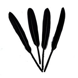 Sowder Black Goose Feather for Craft Wedding Home Decorations Pack of 100