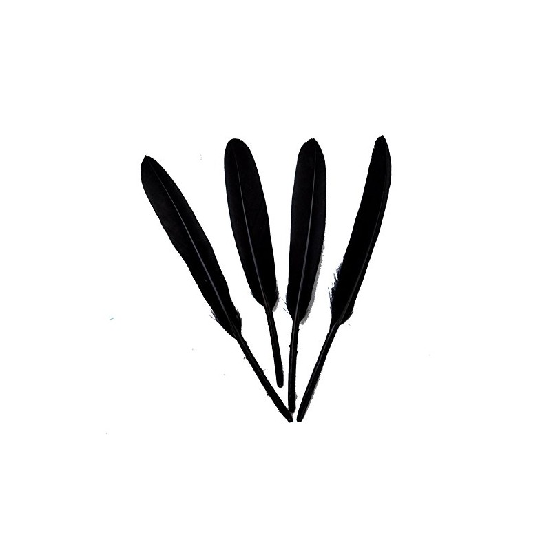 Sowder Black Goose Feather for Craft Wedding Home Decorations Pack