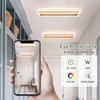 Vloitgol Dimmable Led Ceiling Light with Remote Control 31.5in Modern