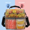 FlowFly Double Layer Cooler Insulated Lunch Bag Adult Lunch Box