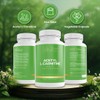 Lily Green Acetyl l Carnitine Capsules | 1000mg Per Serving