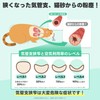 DOCTOR BY Cat Breath Cat Supplement
