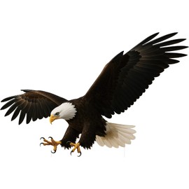 DP BOUTIQUE Bald Eagle 2FT Life Size Cardboard Cutout, Safari Theme Decoration, Alaskan Animals Standup for Events, Party, Photography Props, 1 PC