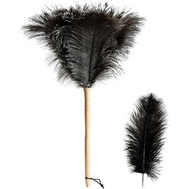 2count Ostrich Feather Duster 16 Inch Fluffy Natural with Wood Handle Reusable Washable for Cleaning Keyboard,Home,Car,Office Ostrich Feather Duster - Color: Model (B)-1pcs