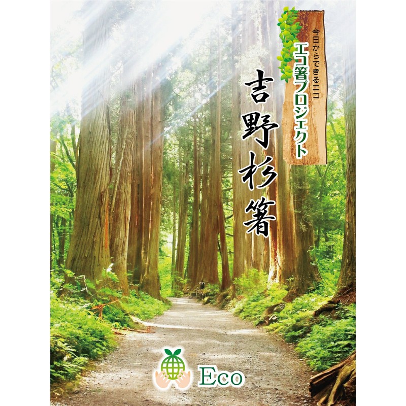 Premium Yoshino Cedar Locations Brass Chopsticks 雲竜 Washi Belt Roll