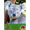 Koala Bear Christmas Card 'Merry Christmas' - Special Xmas Card