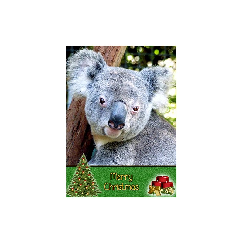 Koala Bear Christmas Card 'Merry Christmas' - Special Xmas Card