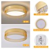 ZUYURT Dimmable Gold Flush Mount Ceiling Light Modern Ceiling Light