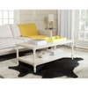 Safavieh American Homes Collection Bela Grey Coffee Table
