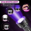 EverBrite LED Flashlight, Multifunctional Flashlight with UV and White Light,