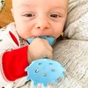 Innobaby Original Teethin' Smart EZ Grip Star Teether and Sensory