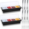 Gandeer 2 Ice Cooled Garnish Tray Deck Bar Garnish Caddy