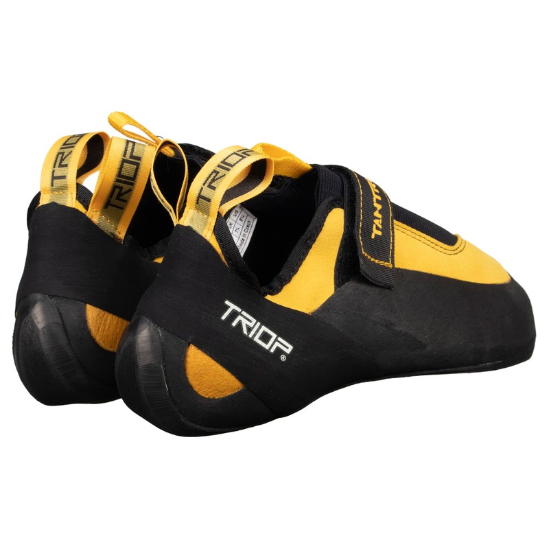 TRIOP TANTRUM Bouldering Climbing Shoes, Genuine Product