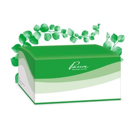 Pascoe Allergy Injectopaz - For Cramping Cough, Also Allergic Caused - 100 x 2 ml