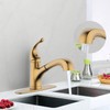 Derengge Brushed Gold Kitchen Faucet,Pull Out Kitchen Sink Faucet with