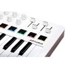 Minilab 3 Compact MIDI keyboard & Pad Controller