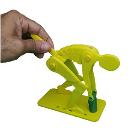 Didactica3d, Correct Lifting Model, Demonstration Figure, Anatomy (Mini Yellow)