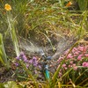 Gilmour Adjustable Spinning Sprinkler with Spike Base, Whirling Sprinkler Head