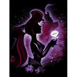 5D Adult Diamond Art Painting Kits,DIY Diamond Painting Kits, Princess Diamond Painting Kits,Full Diamond Round Diamond Point Diamond Art Kits,Craft Home Wall Art Deco-12x16inches