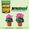 SoilMoist NitroGreen 100% Organic Fertilizer 14-oz High Nitrogen 13-0-0 for