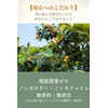 Japanese Biwa Tea, 0.07 oz (2 g) x 30 Packets,