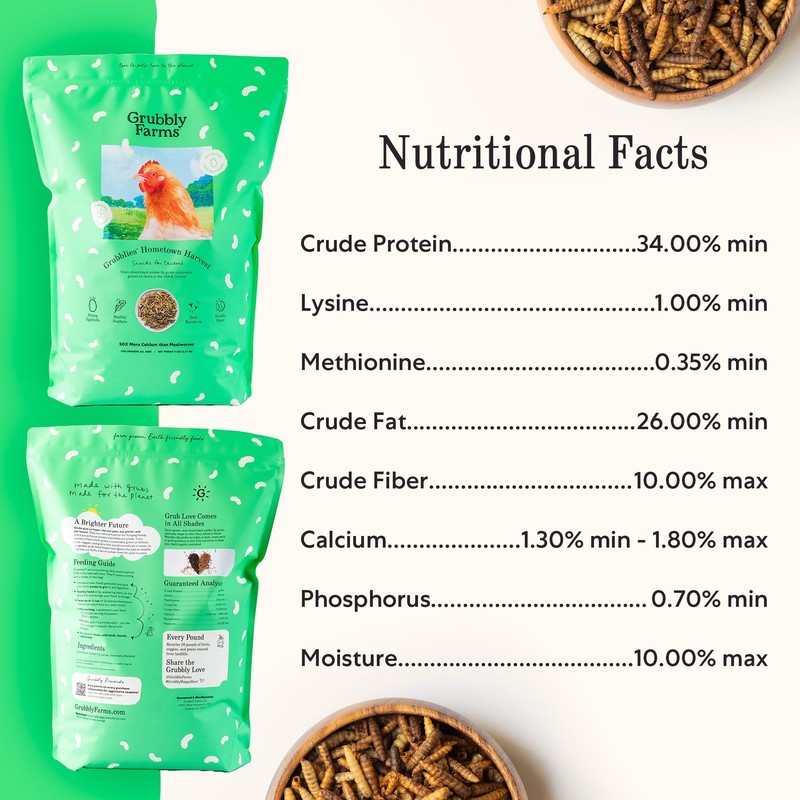 Grubblies - Black Soldier Fly Larvae for Chickens - Chicken