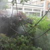 10m Drip Irrigation System Automatic Watering Garden Greenhouse Agriculture Hose
