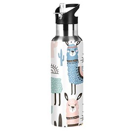 Qilmy Sport Water Bottle with Straw Lid Vacuum Insulated Stainless Steel Thermo Flask Llama Water Bottle 20 oz